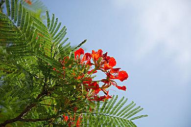 D3 Publisher《武士少女》新预告片公布